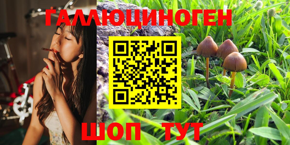 Псилоцибиновые грибы мухоморы  Вход с VPN  Сибай  Галлюциногенные грибы MAGIC MUSHROOMS 